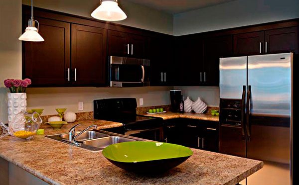 Shaker Kitchen Cabinets